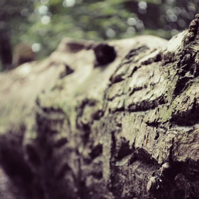 1920 x 1080 HD Wallpapers 1430